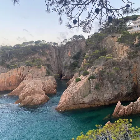 Cami Del Mar