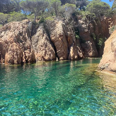 Cami Del Mar *